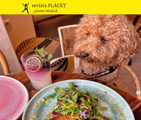 Bares y restaurantes pet friendly en Madrid